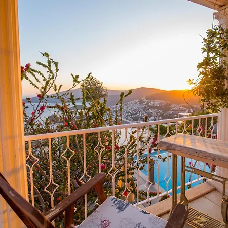 Tulip * Kalkan