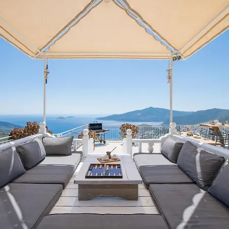 Tulip Villa *