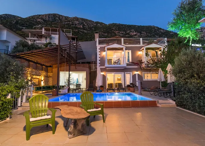 Tulip * Καλκάν