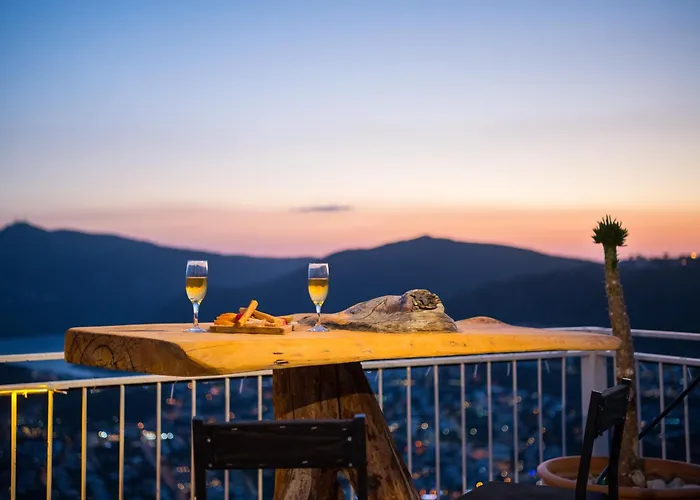 Tulip * Καλκάν