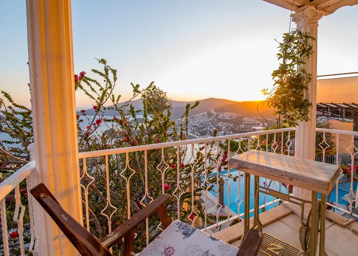 Tulip * Καλκάν