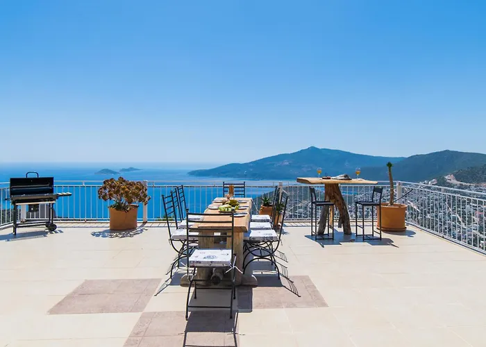 Tulip * Καλκάν