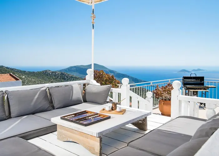 Tulip * Καλκάν