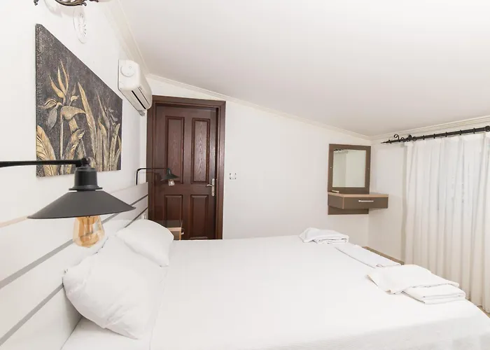 Tulip * Καλκάν