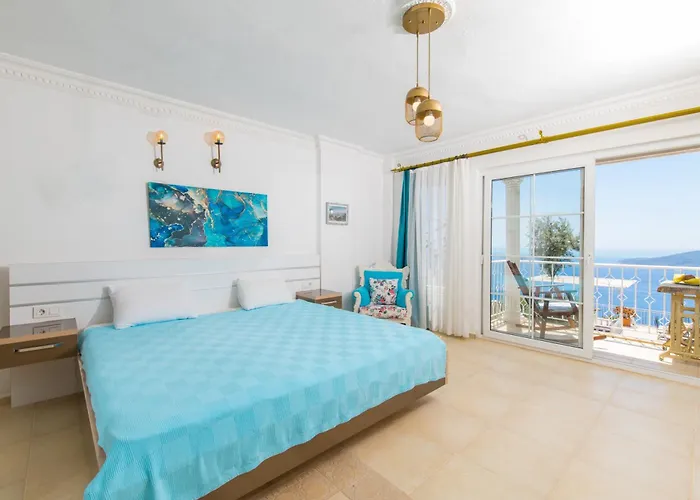 Tulip * Καλκάν